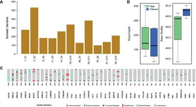 A Targeted Gene Panel for Circulating Tumor DNA Sequencing in Neuroblastoma